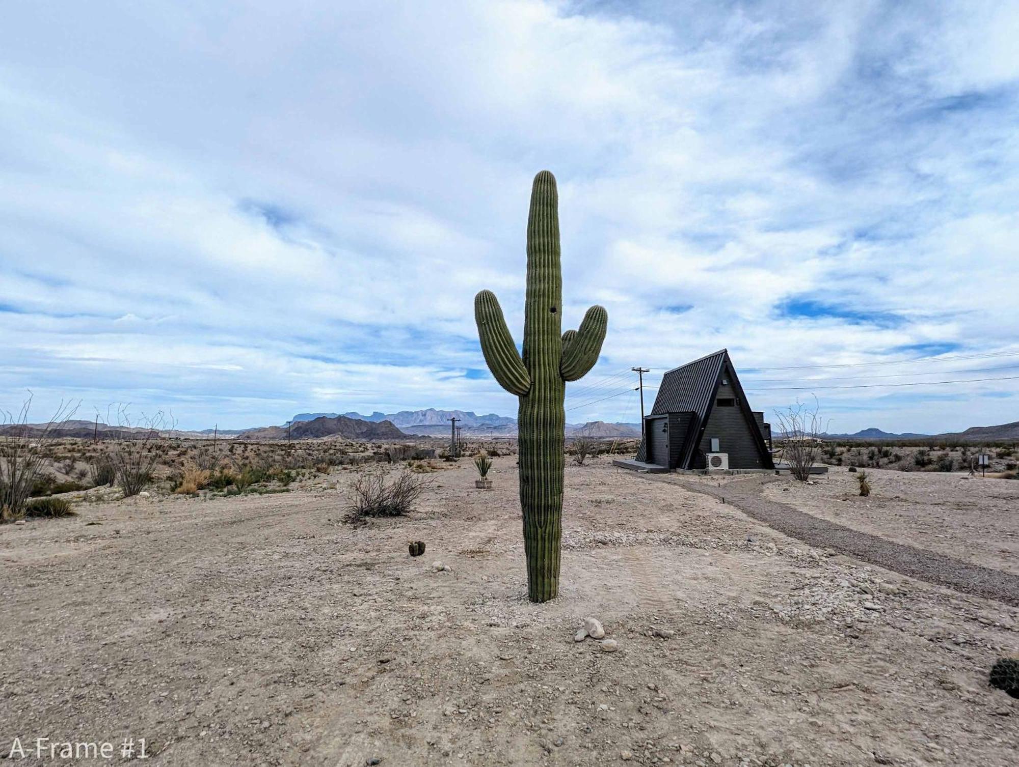 Stardust Big Bend Luxury A-Frame#4 Great Views Villa Terlingua Exteriör bild